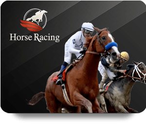 33WIN Top Bet: Comparing It with Other Betting Platforms